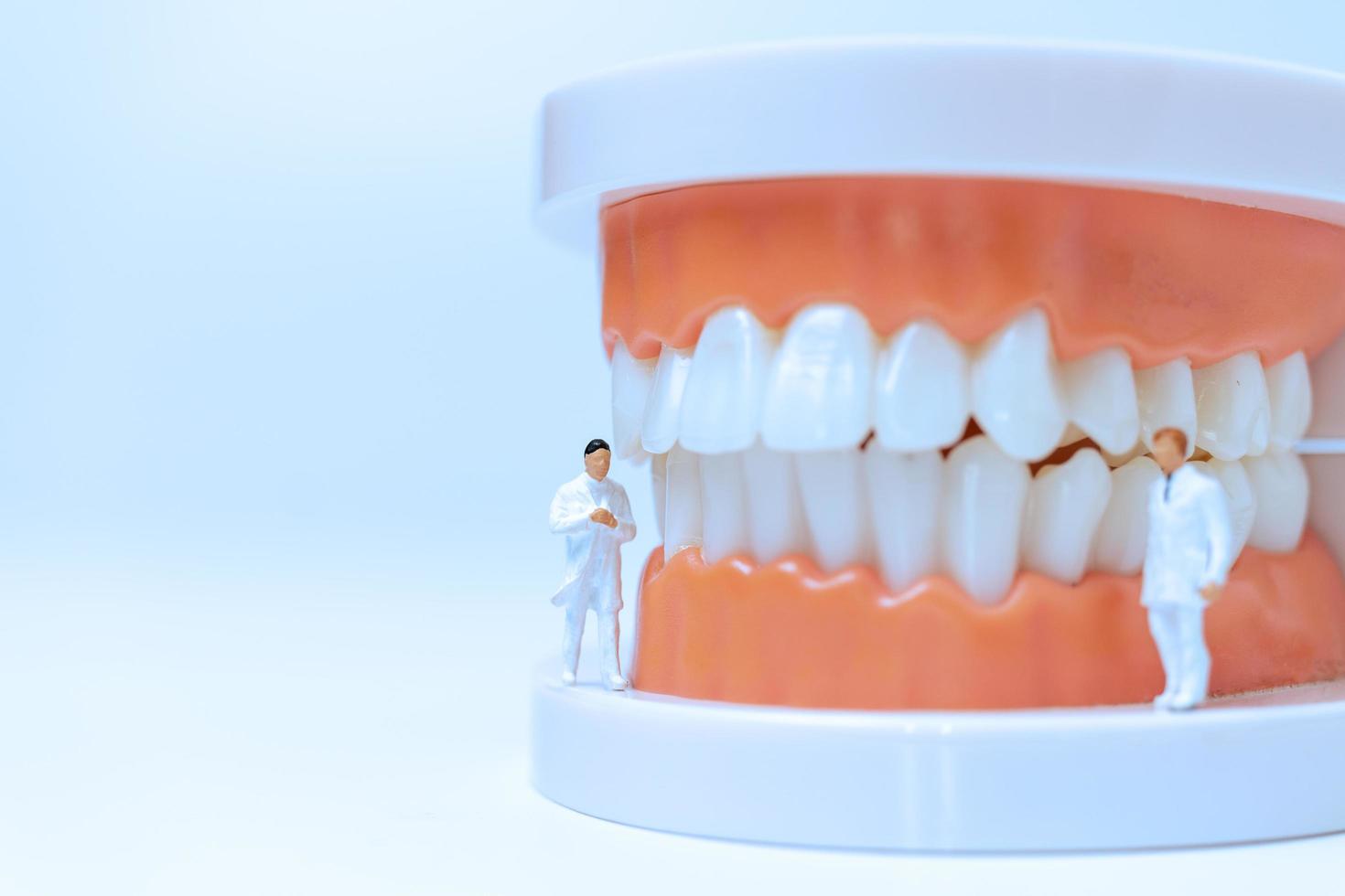 Miniature figurines of dentists observing and discussing human teeth photo