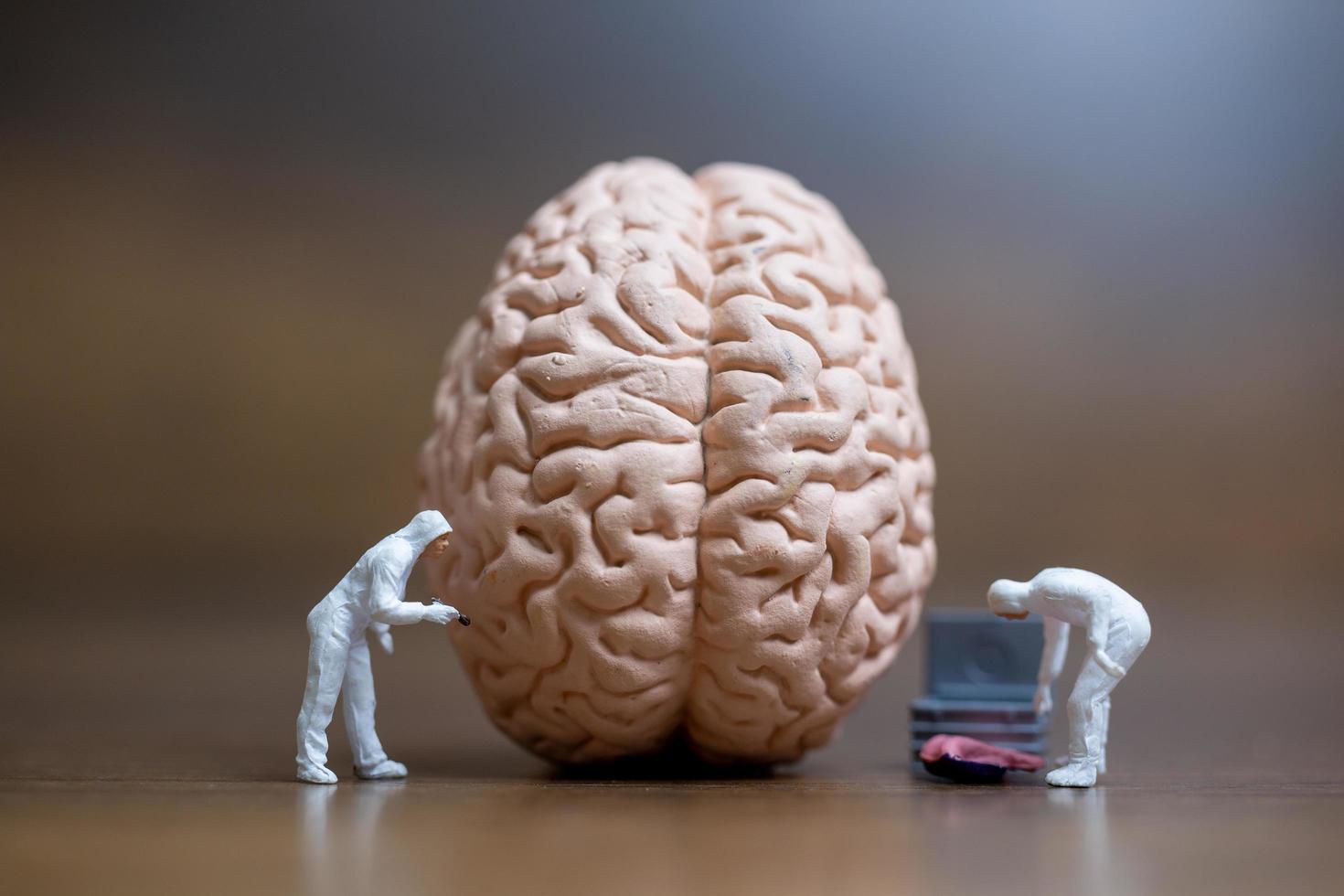 gente en miniatura trabajando en un cerebro foto