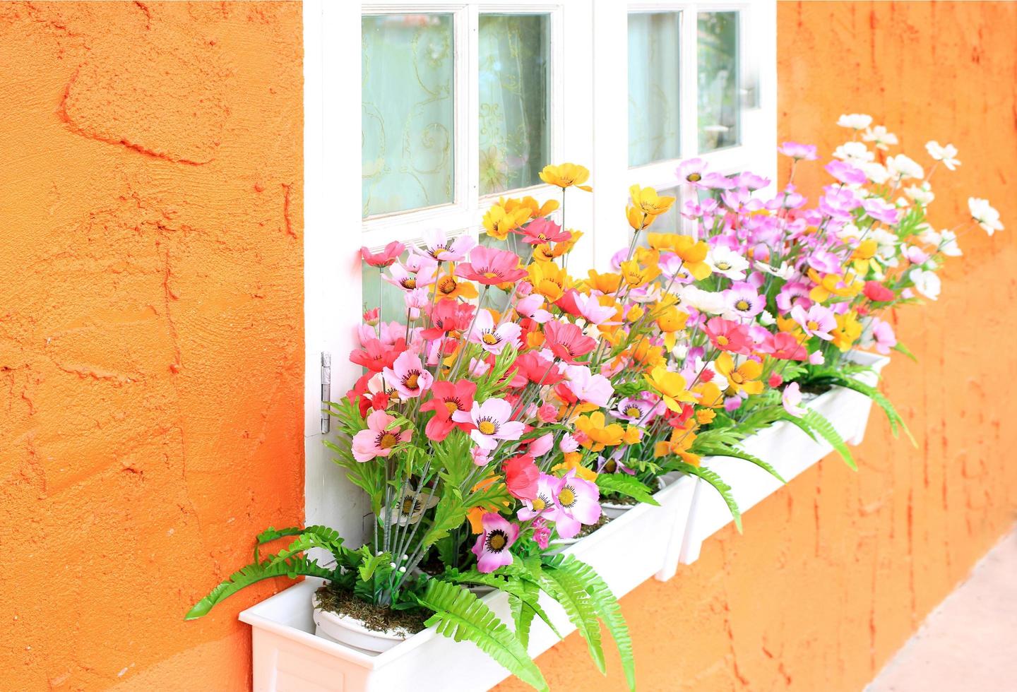 Window box flowers photo