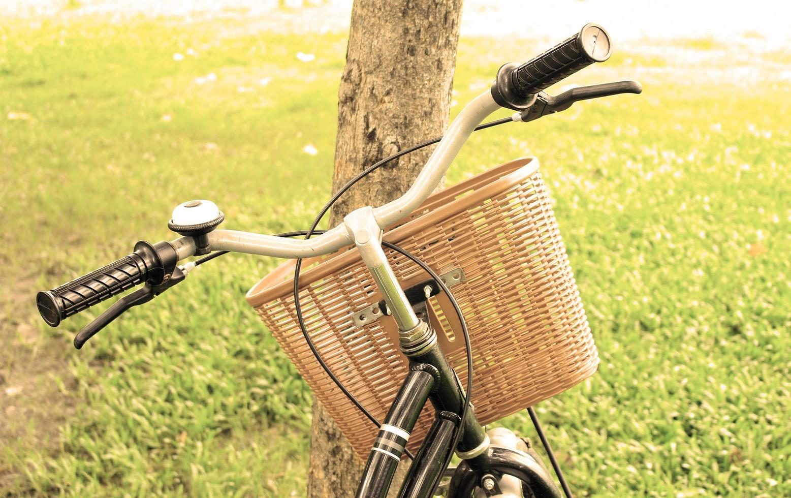 Bicycle against tree photo