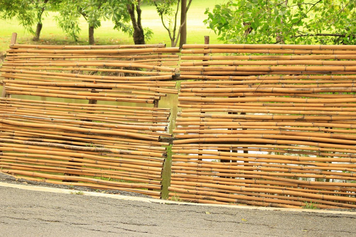 valla de bambú en el jardín foto