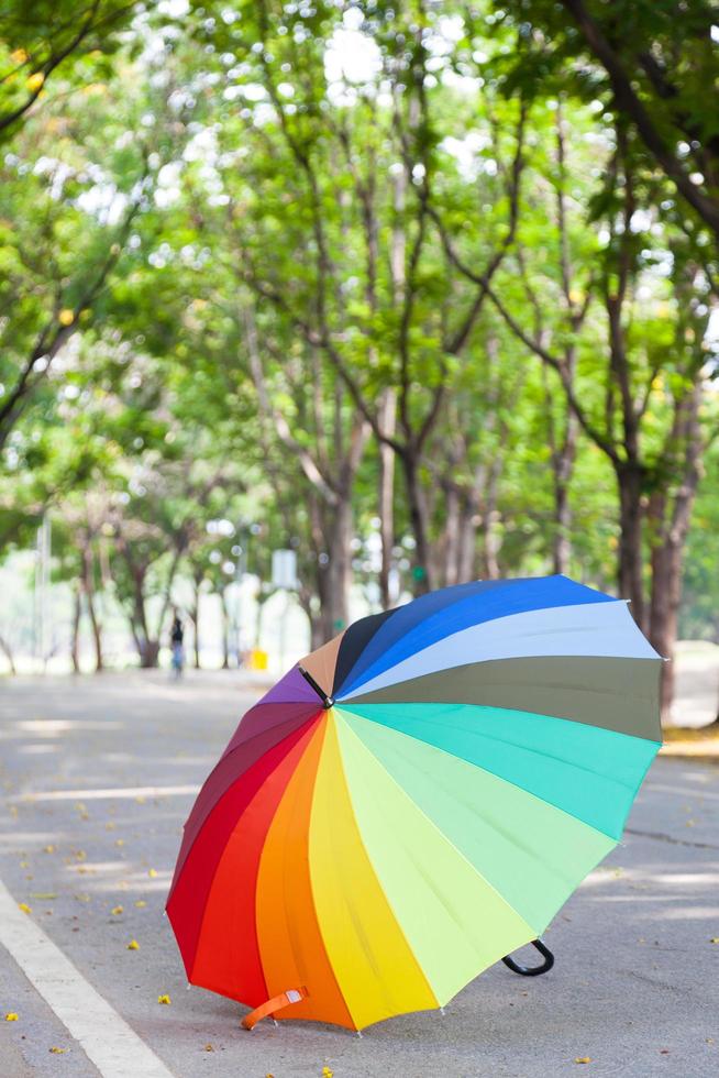 Umbrella on the road in the park photo
