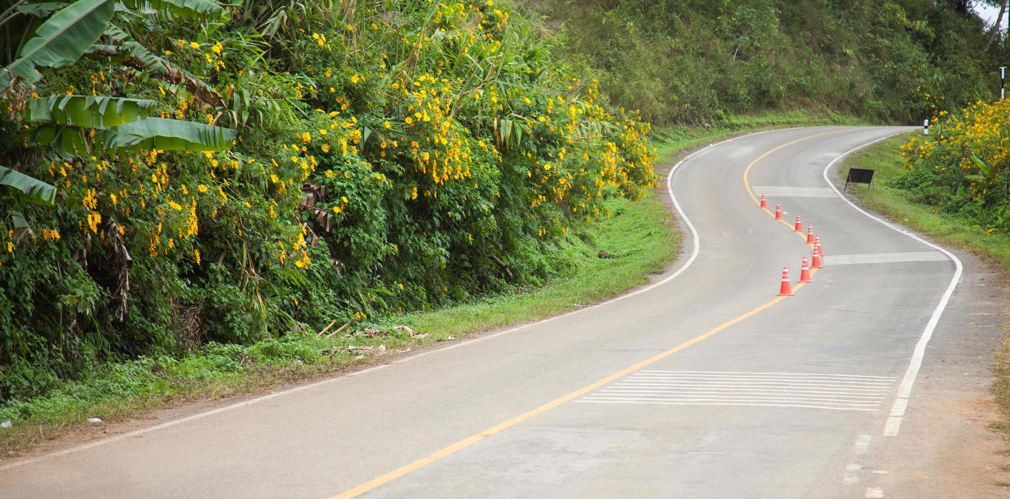 curva de la carretera foto