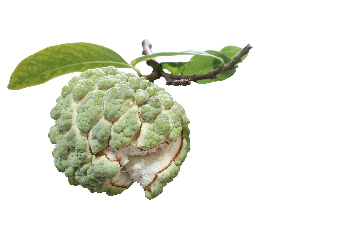 Fresh custard apple photo