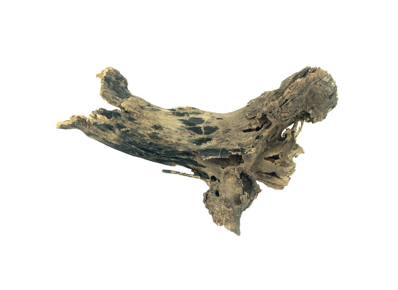 Driftwood en blanco foto