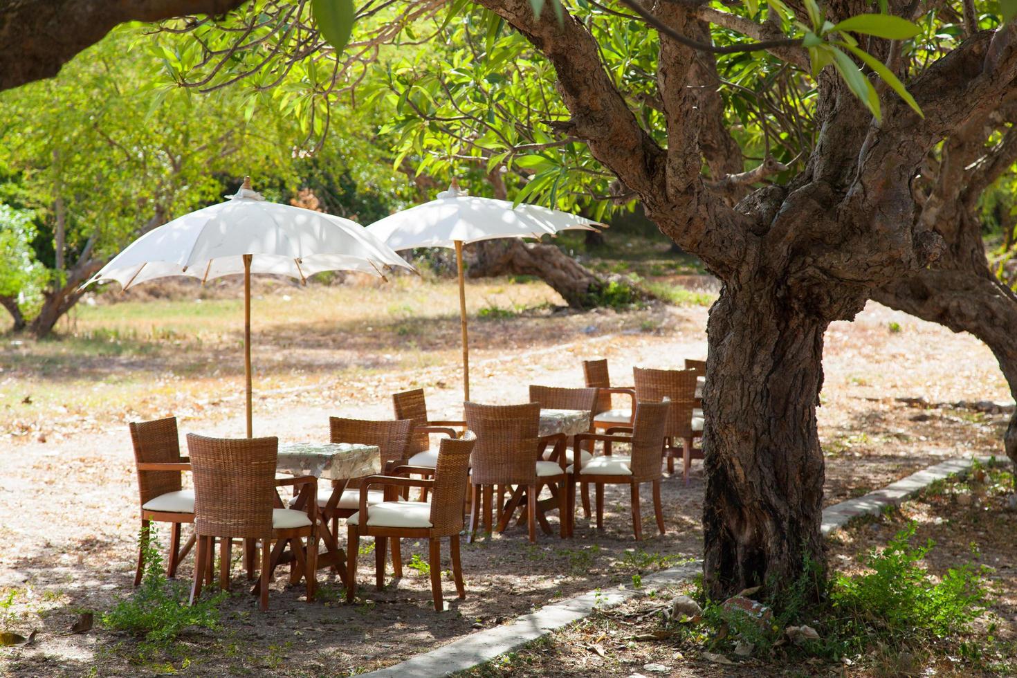 Dining tables and umbrellas photo