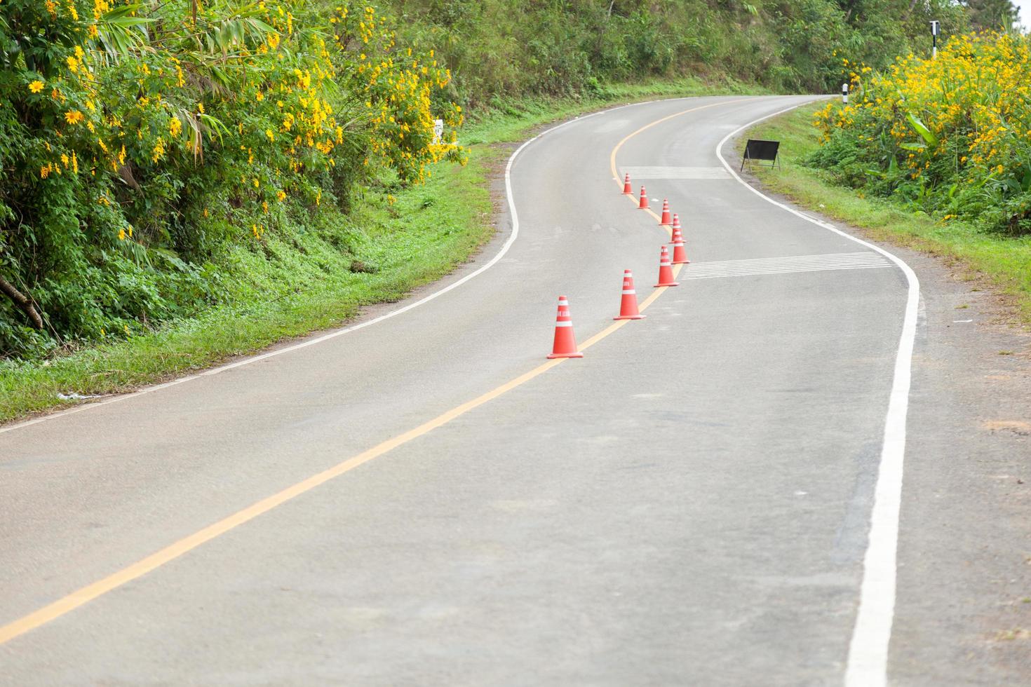 Curve of the road photo