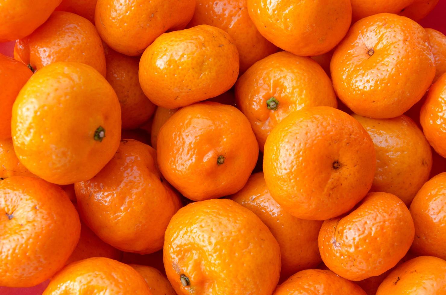 fondo de fruta naranja foto