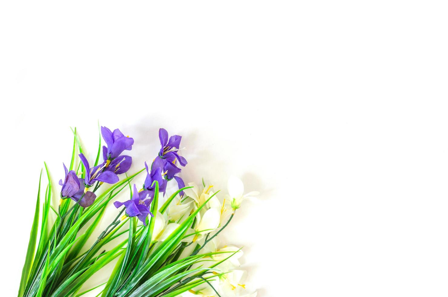 Artificial flowers white background photo