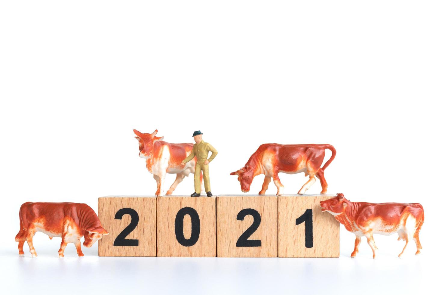 Mini figurines of ox on the year 2021 photo