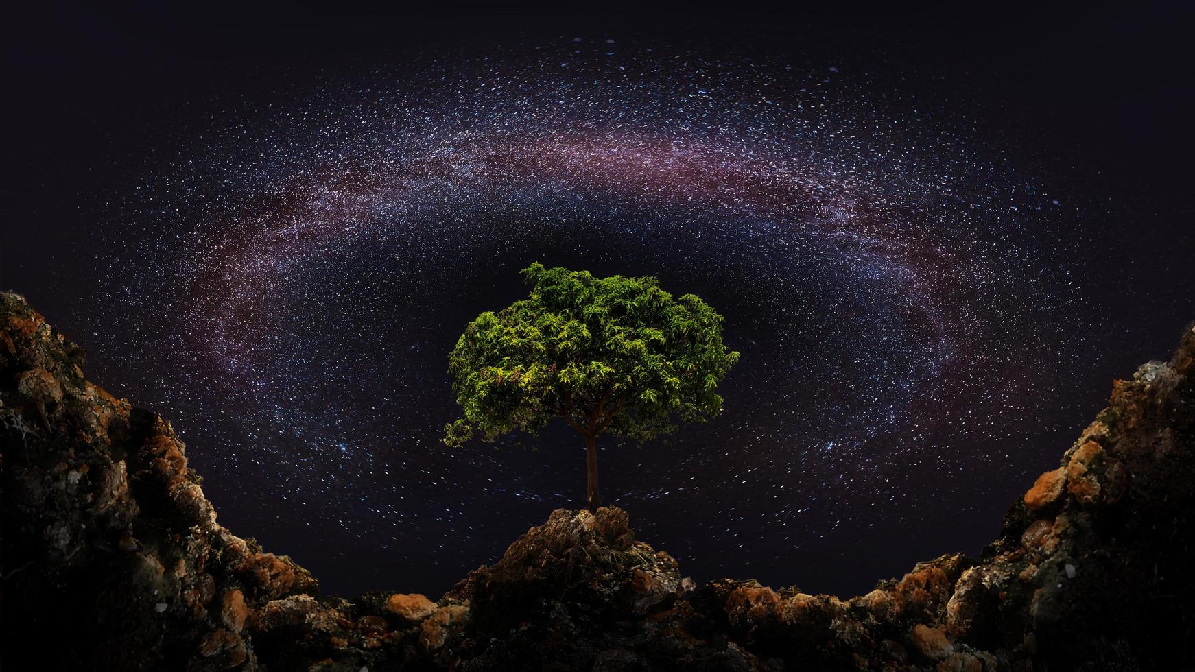 Tree and Milky Way photo