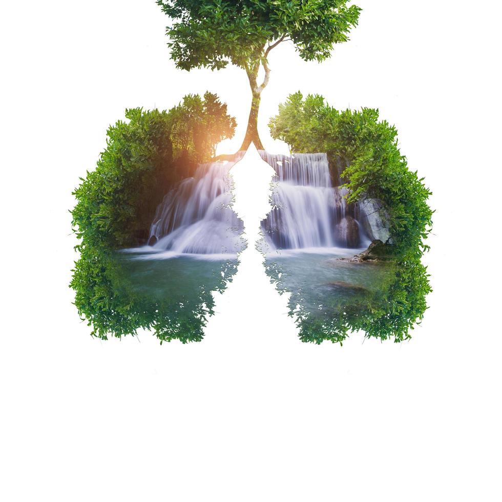 Green tree lungs with waterfall photo