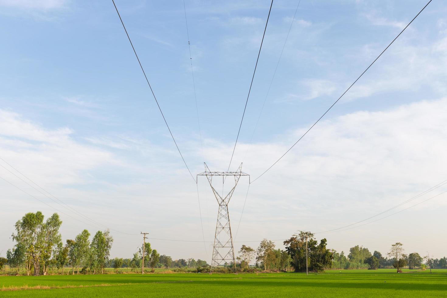 Líneas de transmisión de electricidad sobre campos de arroz. foto