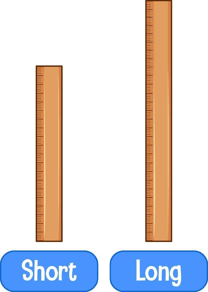 Opposite adjectives words with short ruler and long ruler vector