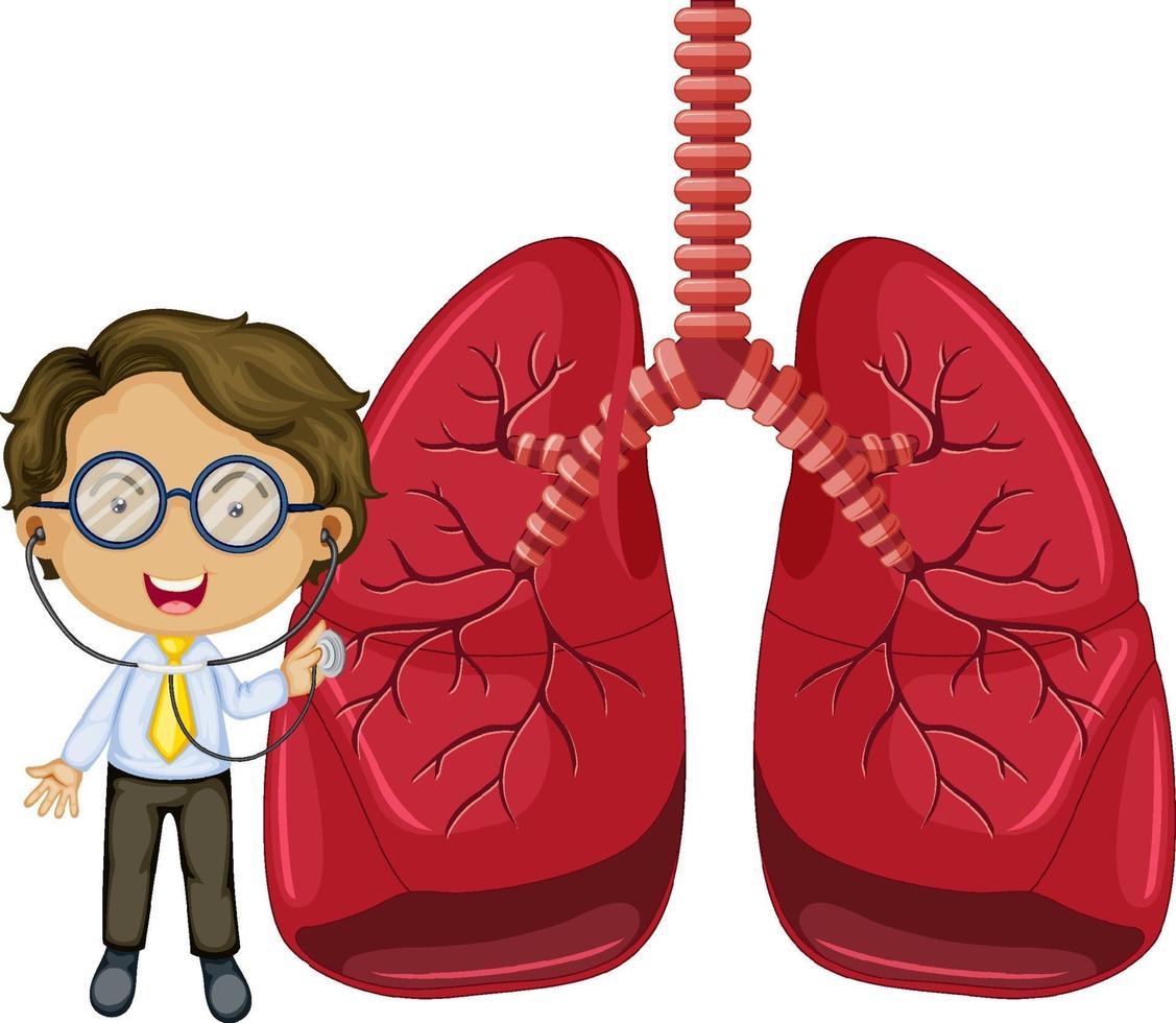 pulmones con un personaje de dibujos animados médico 1928586 Vector en Vecteezy pulmones con un personaje de dibujos animados médico 1928586 Vector en Vecteezy