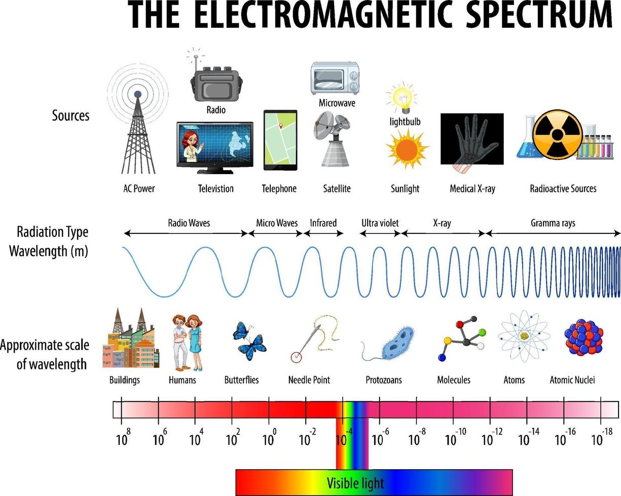 Science Electromagnetic Spectrum diagram vector