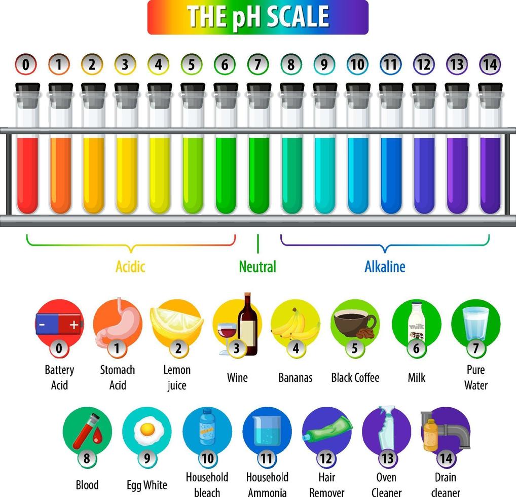 una escala de ph sobre fondo blanco vector