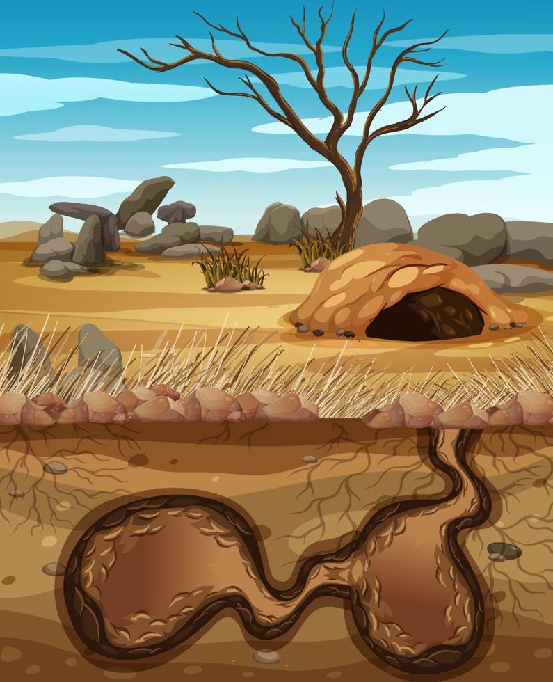 Empty underground animal hole vector