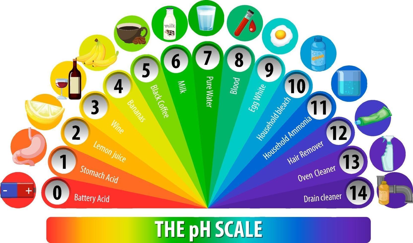 una escala de ph sobre fondo blanco vector