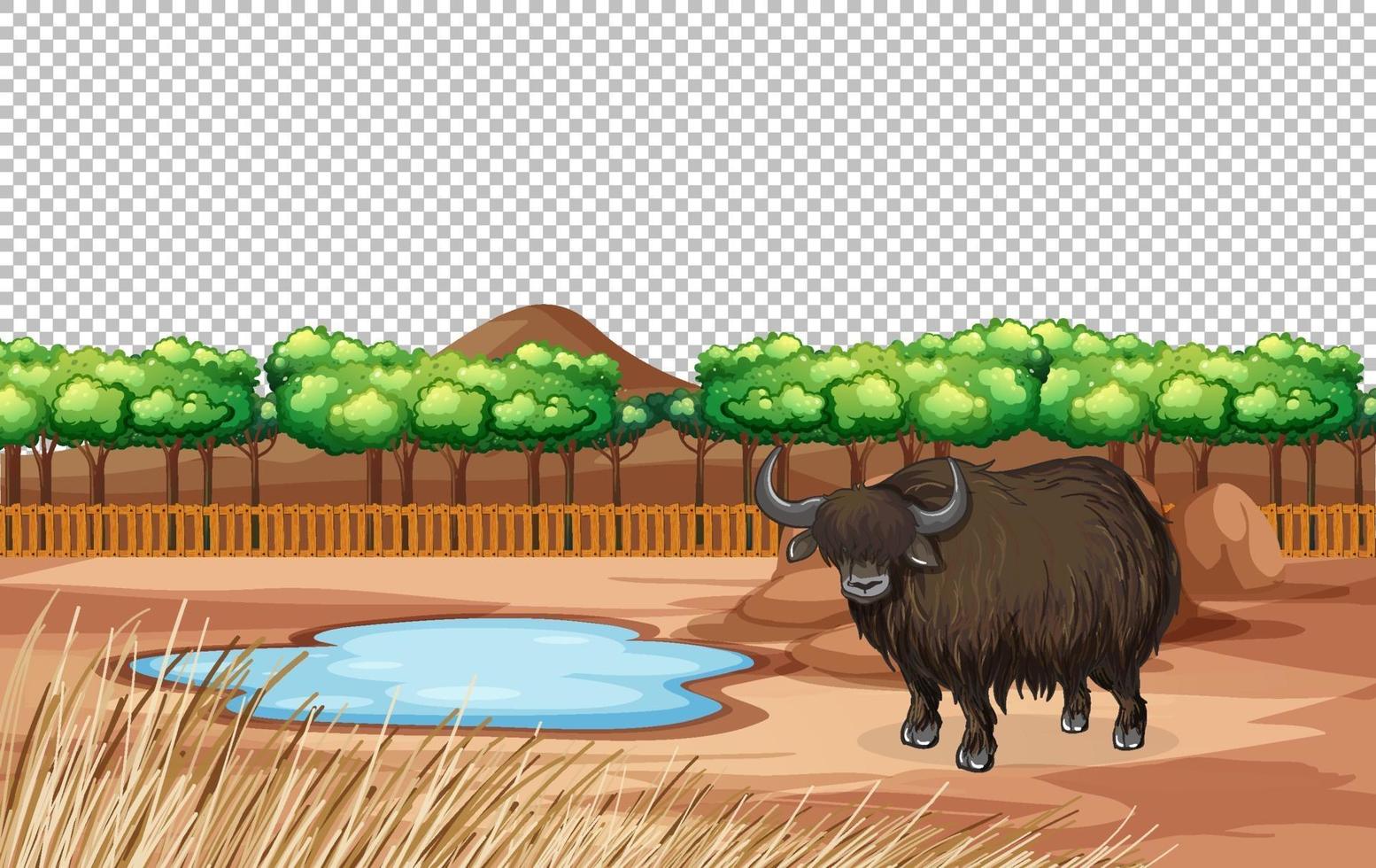 Yak in nature landscape transparant scene vector