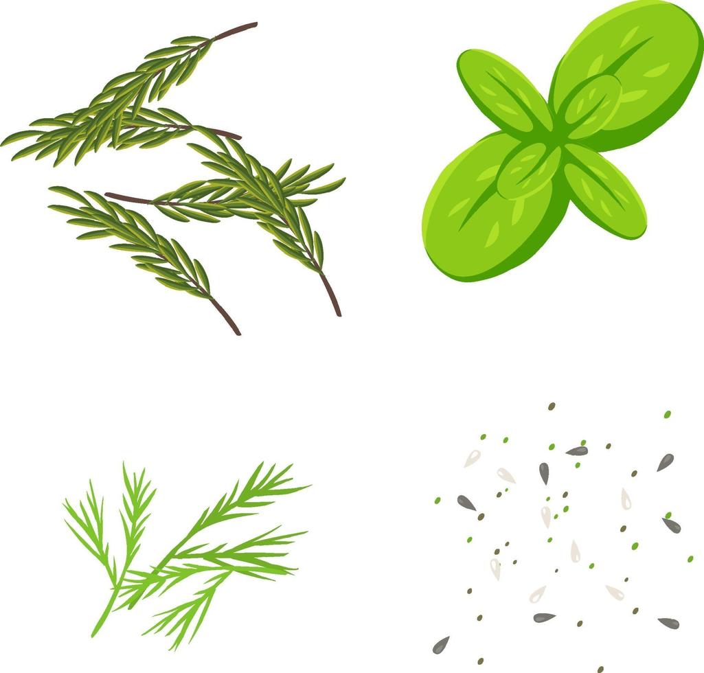 Set of herb for food decoration vector