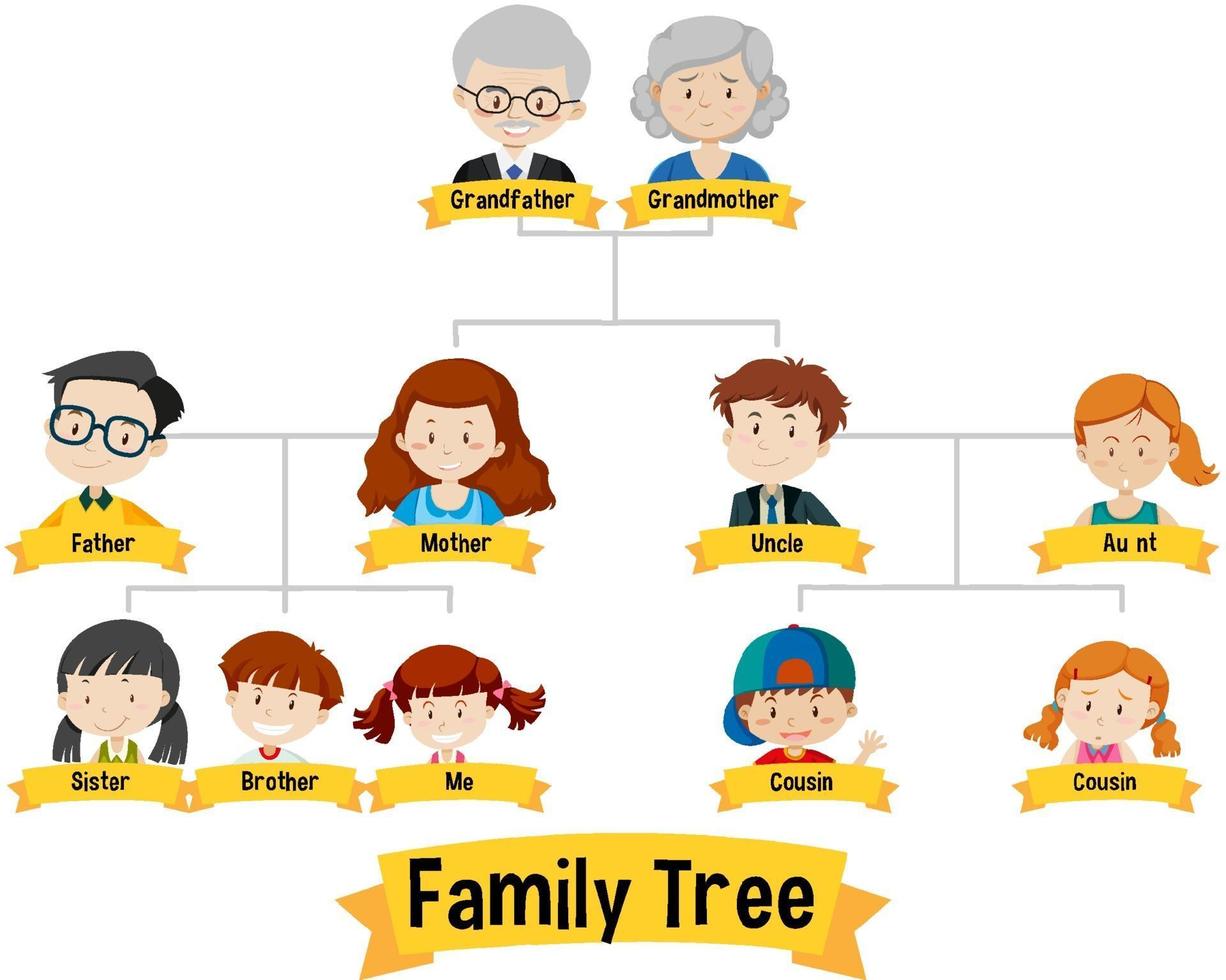 Diagram showing three generation family tree vector