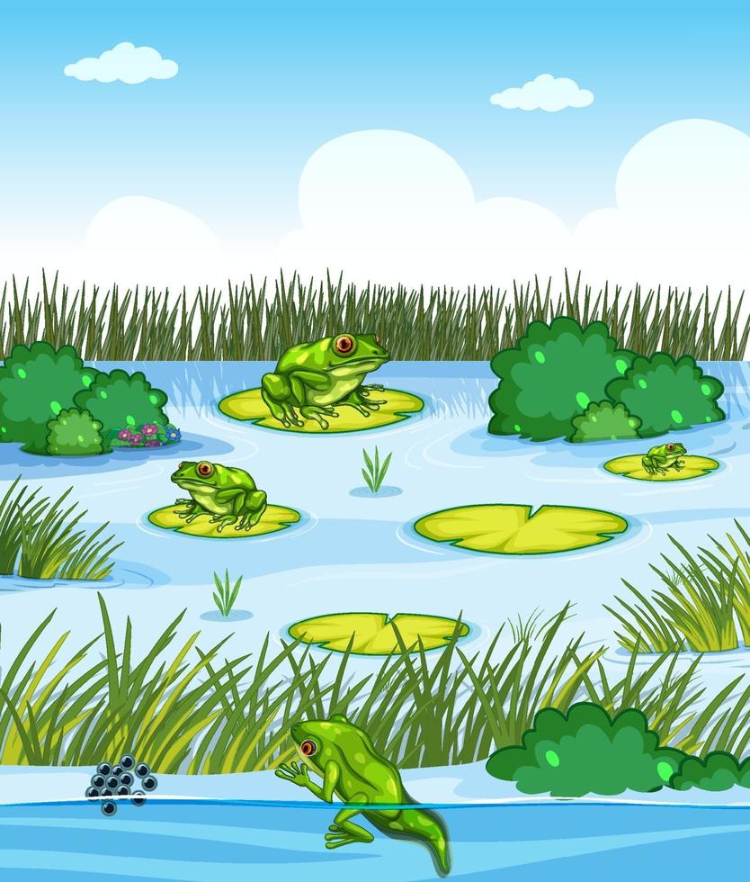 Pond scene with many frogs and plants element vector