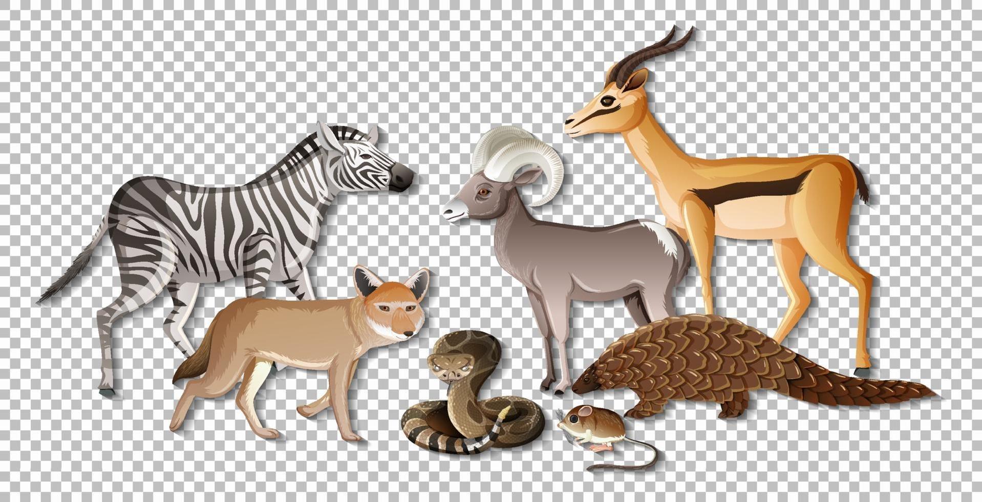Group of wild african animals on transparent background vector