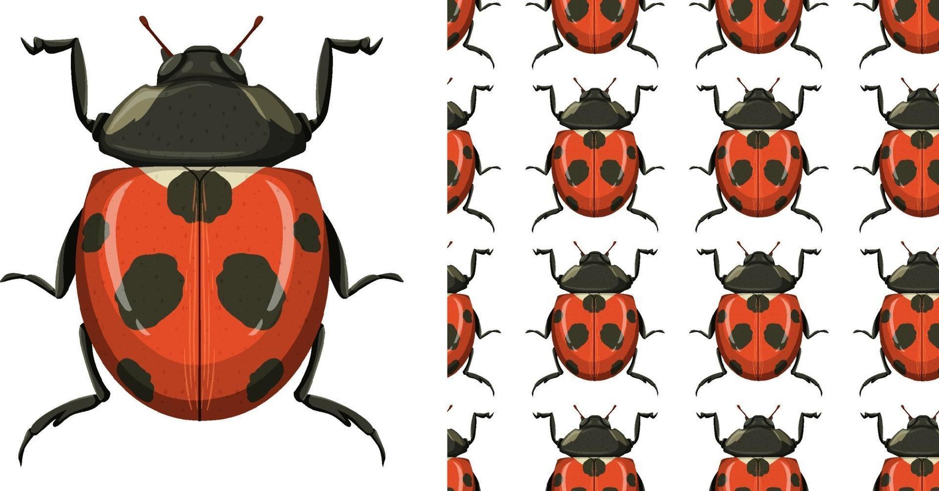 Beetle and seamless background vector