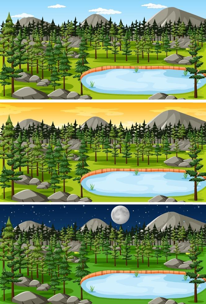 Forest landscape in different time in a day vector