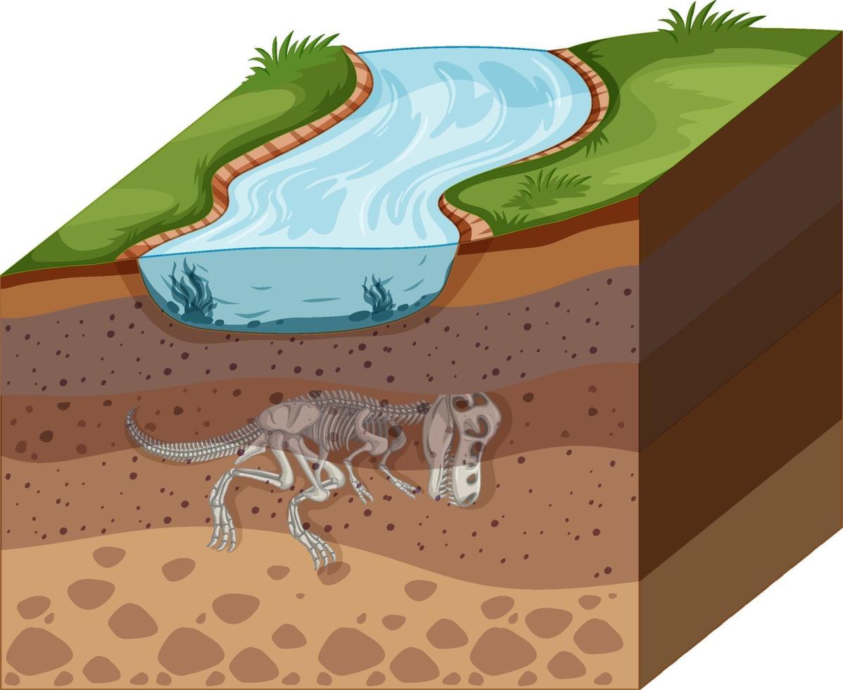 capas de suelo con fósiles de dinosaurios vector