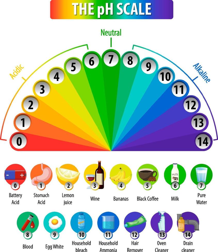 una escala de ph sobre fondo blanco vector