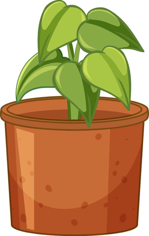 Green plant in a pot cartoon style vector