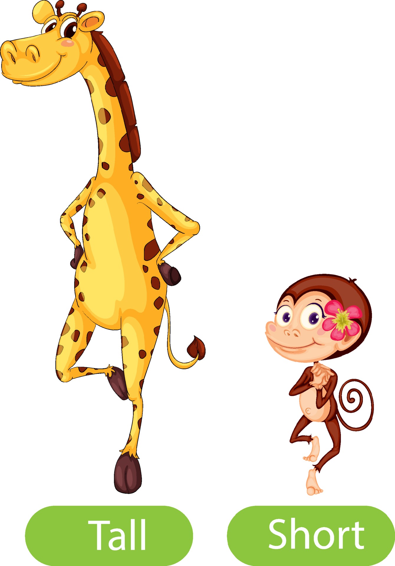 Opposite words with tall and short 1929209 Vector Art at Vecteezy