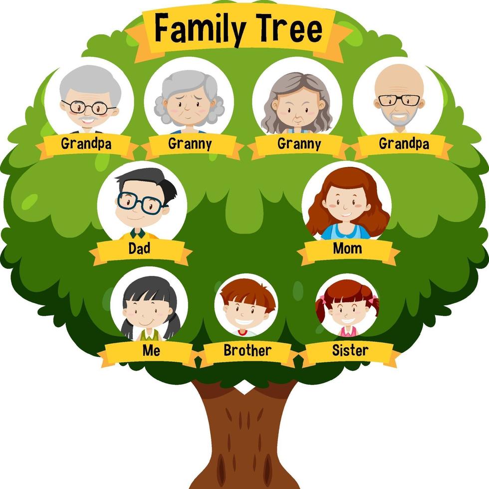 Diagram showing three generation family tree vector