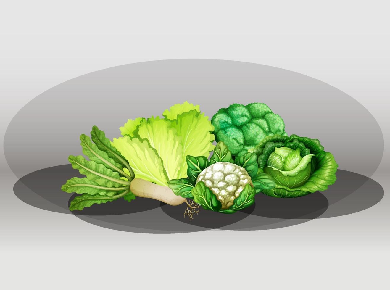 conjunto de vegetales verdes vector