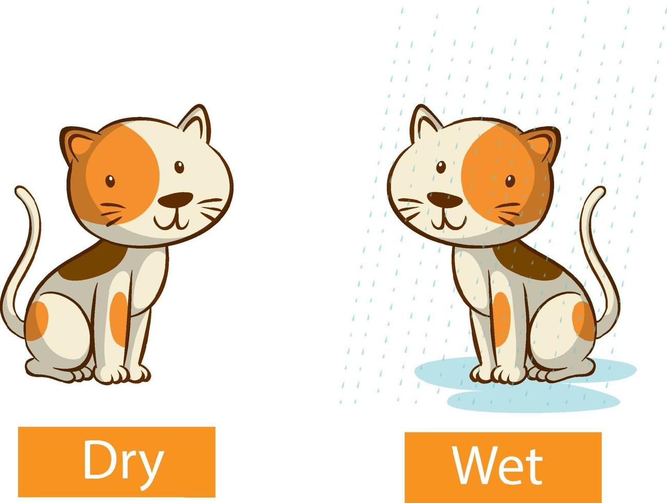 Opposite adjectives words with dry and wet vector