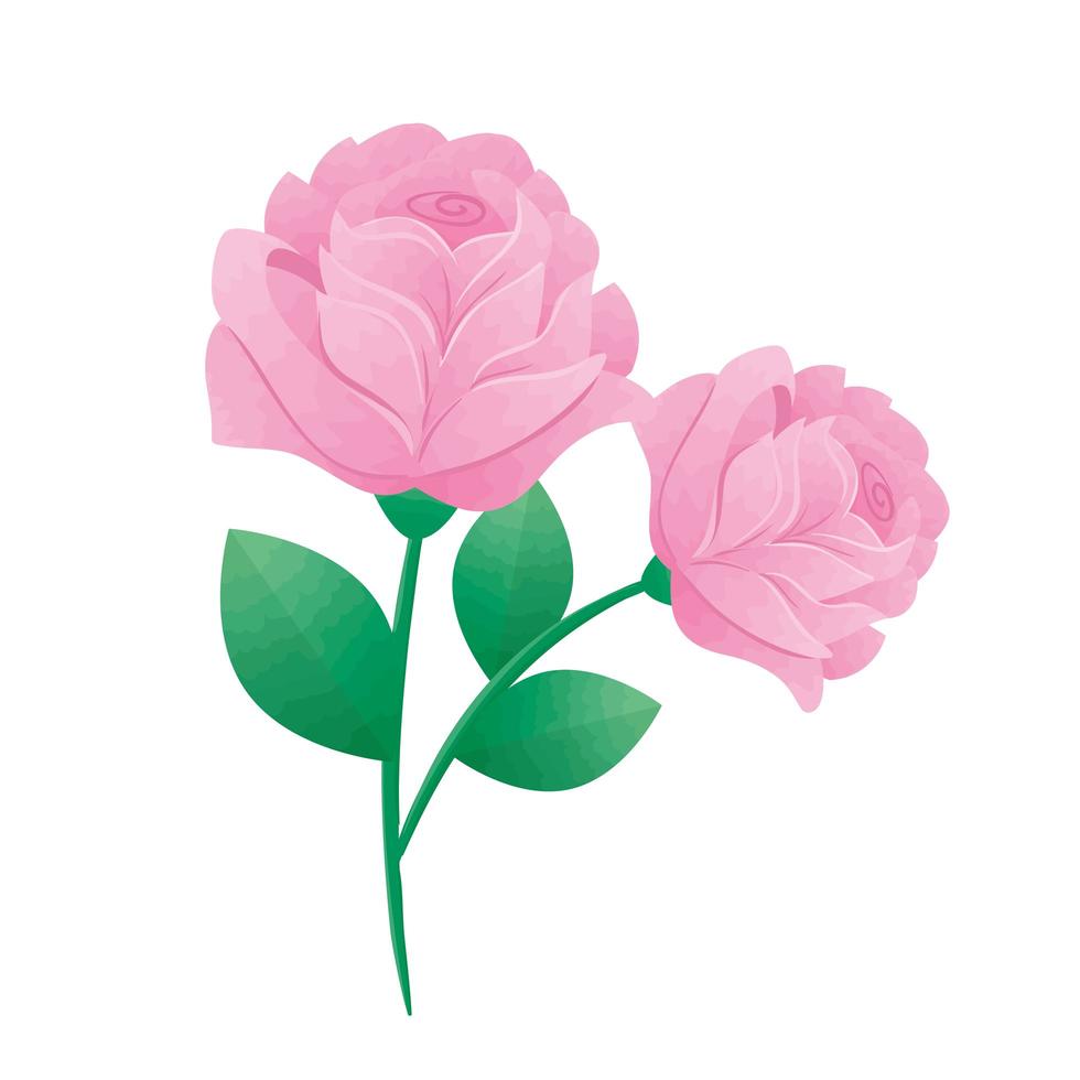 Hermosas rosas flores rosas y hojas verdes iconos decorativos vector