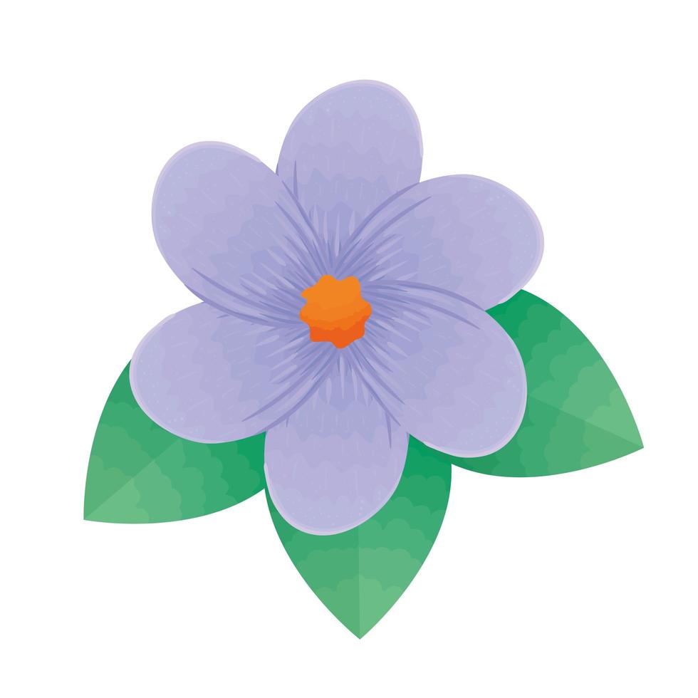 beautiful flower purple and leafs decorative icon vector