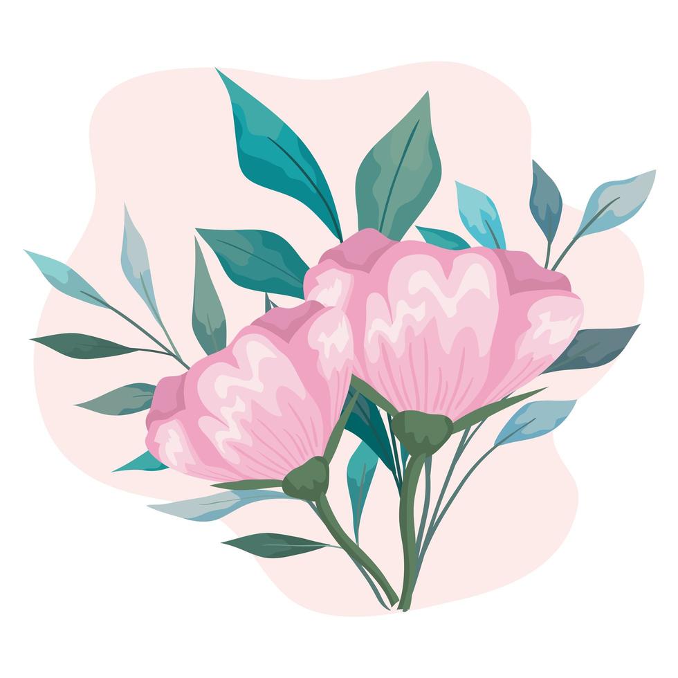 flowers pink with leaves painting vector design