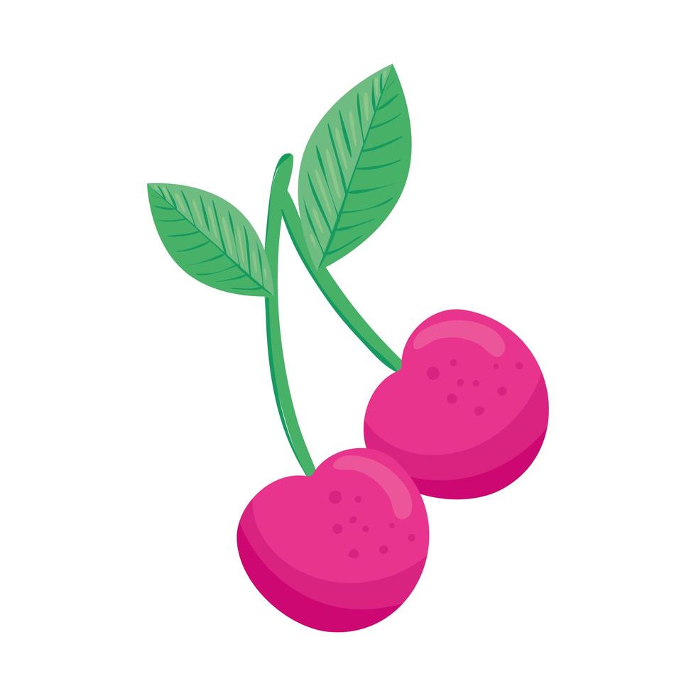 cerezas dulces frutas icono fresco vector