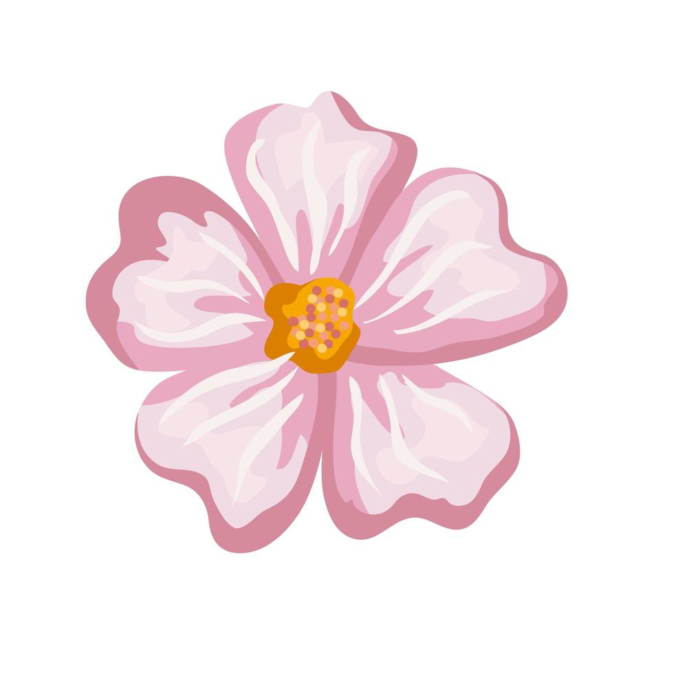 diseño de vector de pintura rosa flor