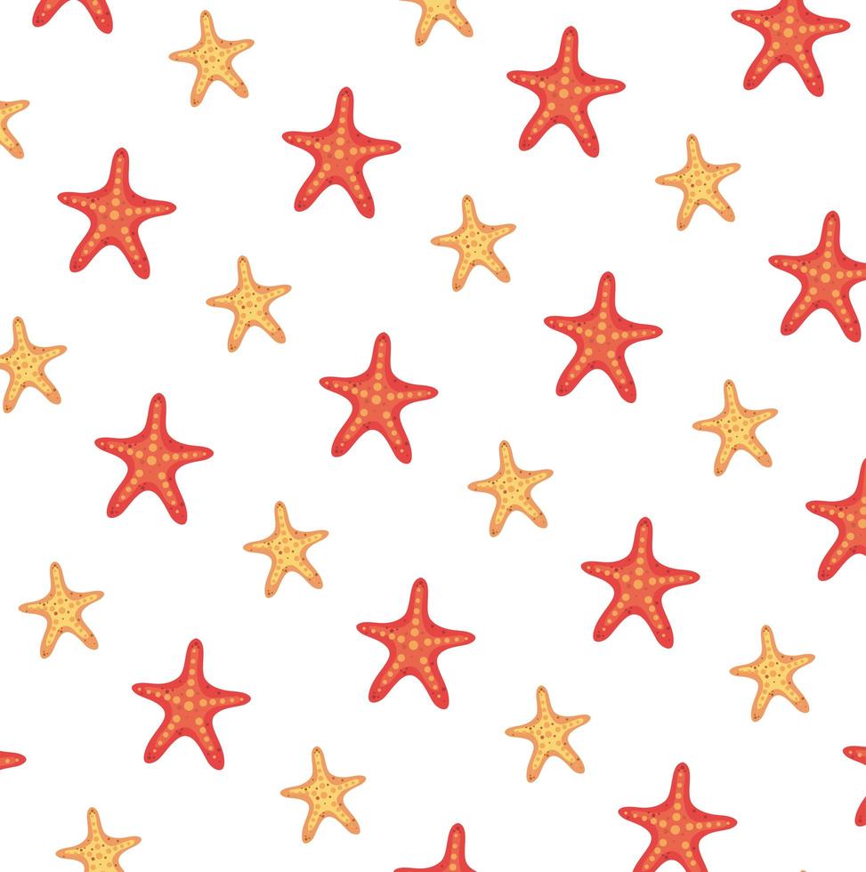 summer starfish animals pattern background vector