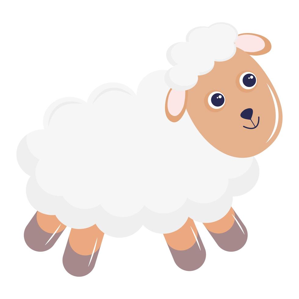 cute little sheep animal kawaii character vector