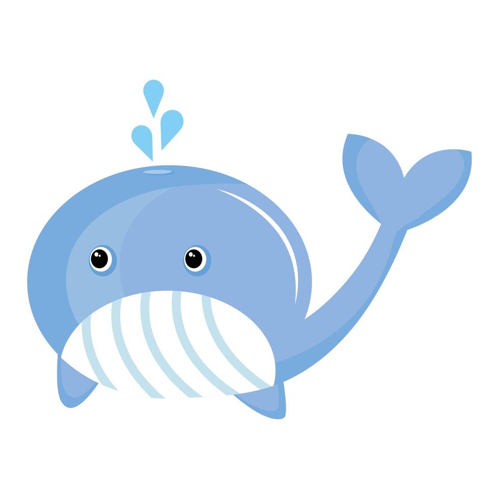 cute little whale animal kawaii character vector