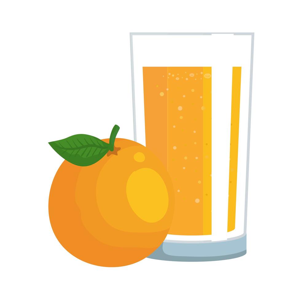 jugo de naranja cítricos con vidrio vector