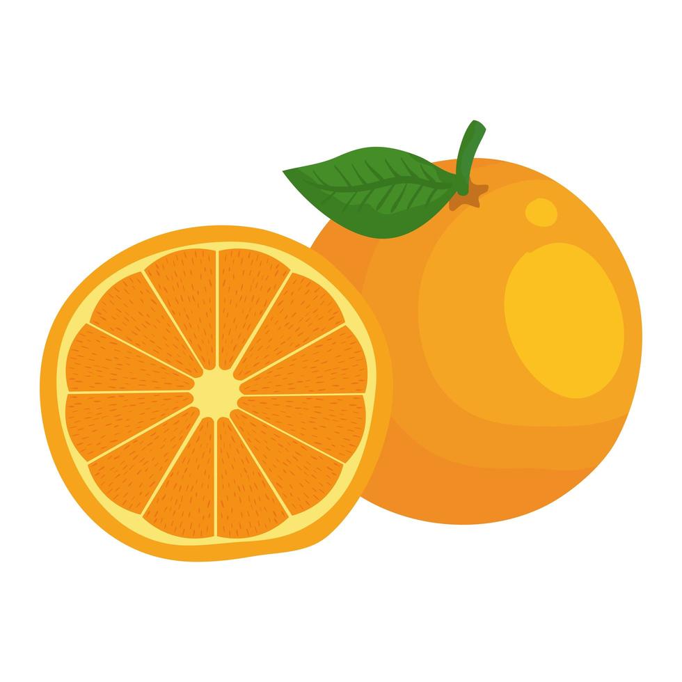 icono de fruta cítrica naranja fresca vector