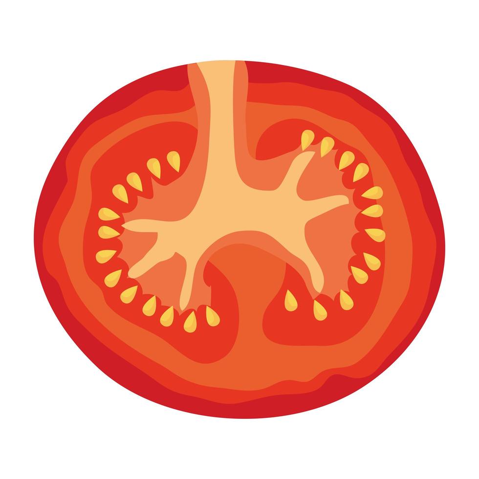 tomate fresco vegetal saludable icono vector