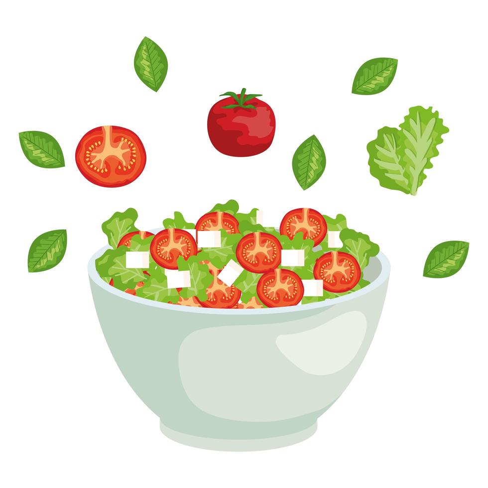 ceramic bowl with vegetables salad splash vector