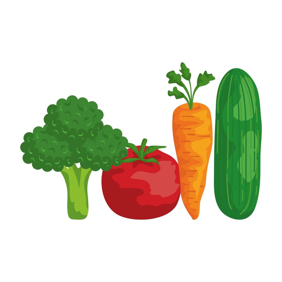 fresh vegetables healthy food icons vector